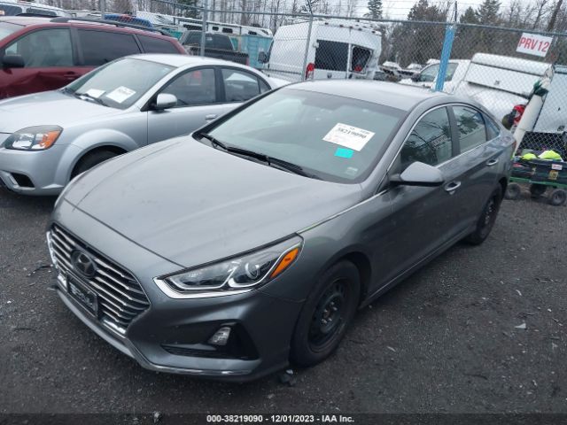 Photo 1 VIN: 5NPE24AF4KH756303 - HYUNDAI SONATA 