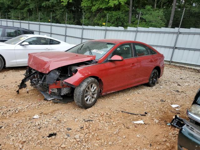 Photo 1 VIN: 5NPE24AF4KH756494 - HYUNDAI SONATA SE 