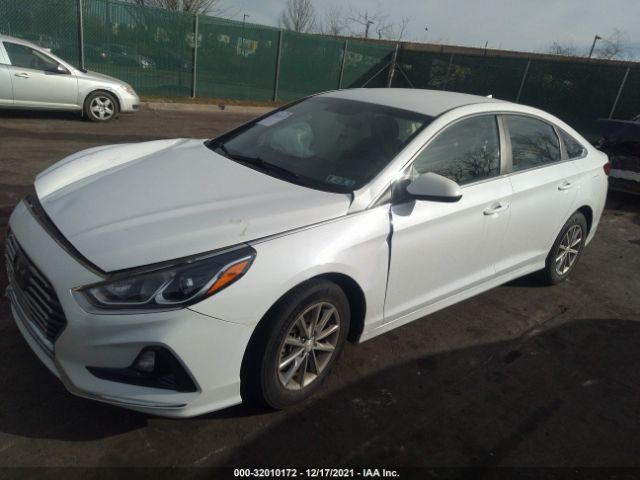 Photo 1 VIN: 5NPE24AF4KH782514 - HYUNDAI SONATA 