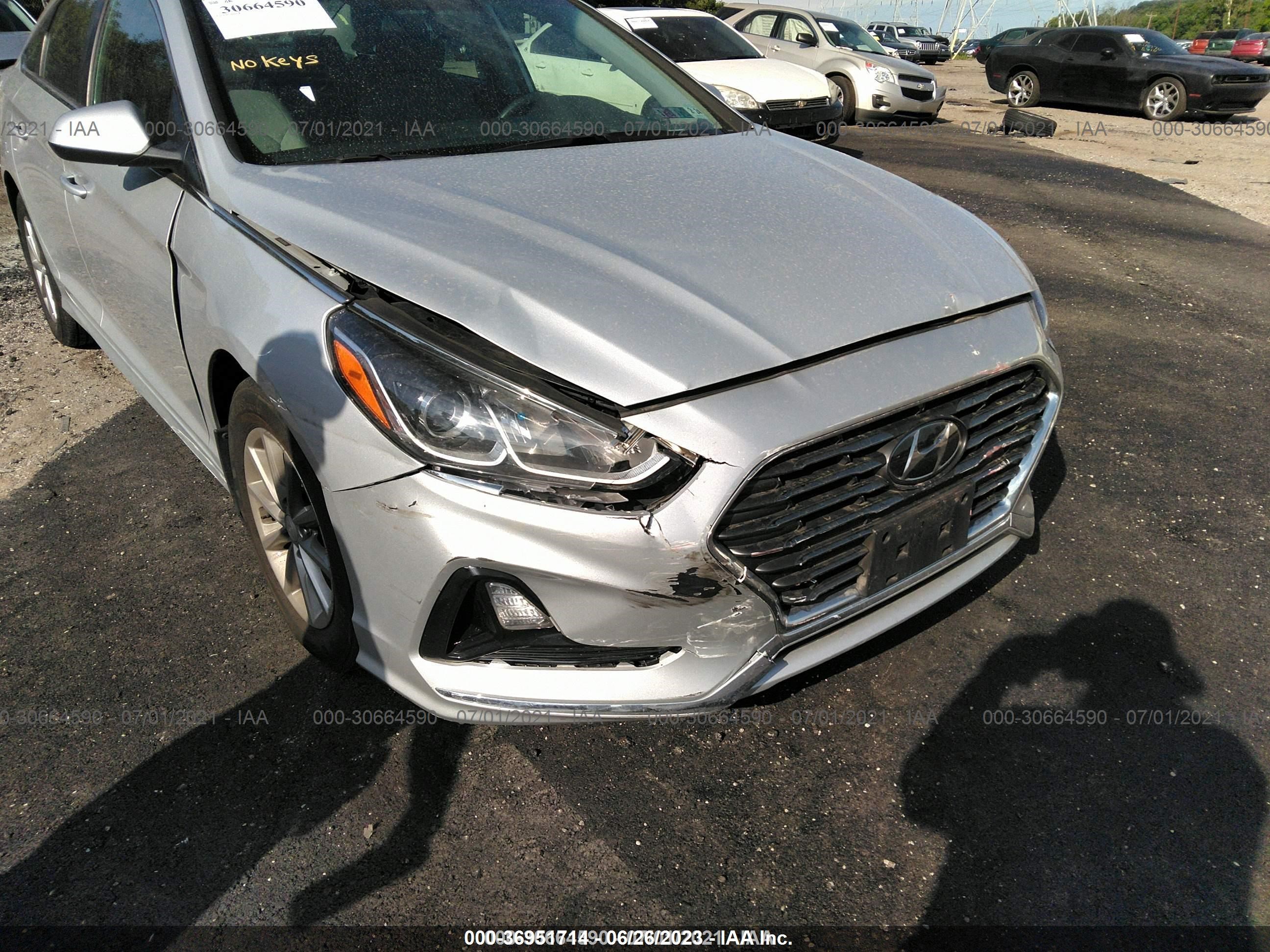 Photo 5 VIN: 5NPE24AF4KH795327 - HYUNDAI SONATA 