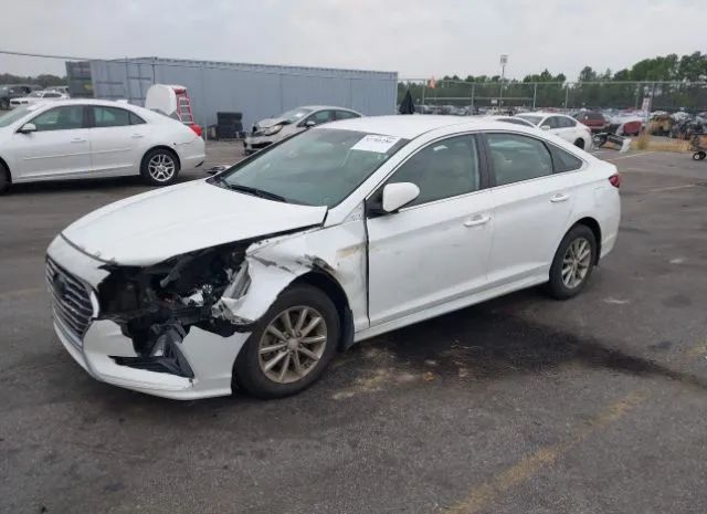 Photo 1 VIN: 5NPE24AF4KH802938 - HYUNDAI SONATA 