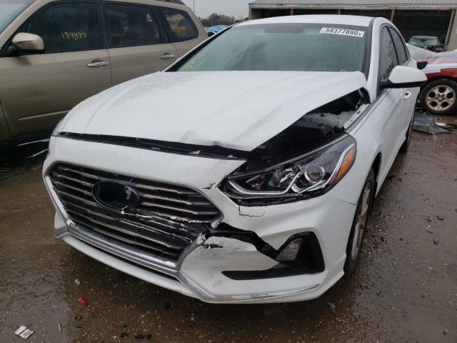 Photo 1 VIN: 5NPE24AF4KH809405 - HYUNDAI SONATA SE 