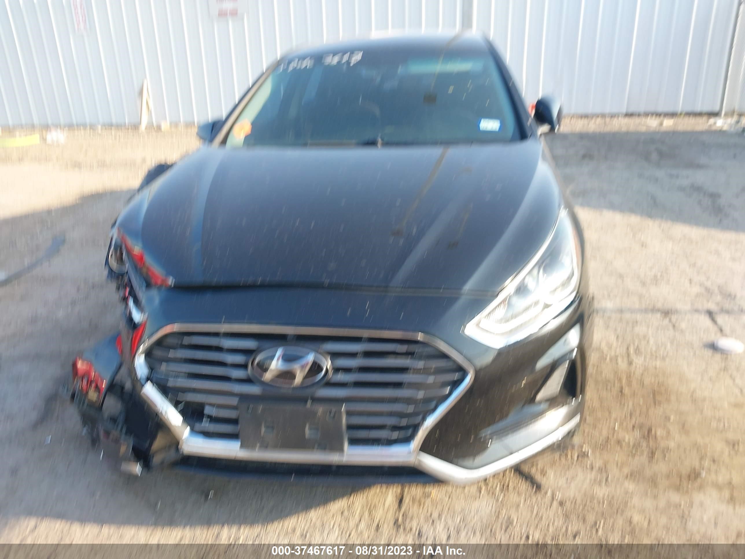 Photo 10 VIN: 5NPE24AF4KH809503 - HYUNDAI SONATA 