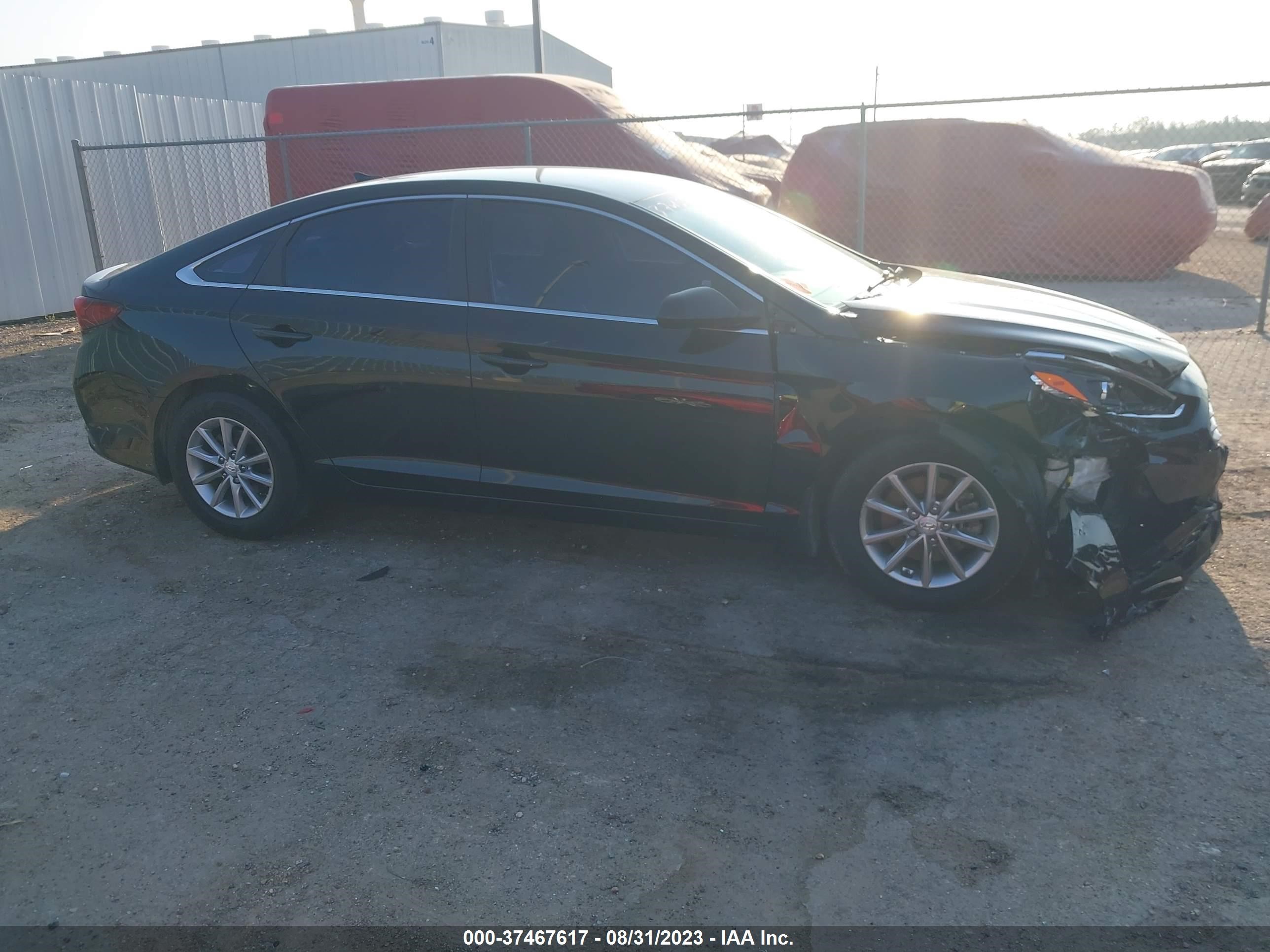 Photo 11 VIN: 5NPE24AF4KH809503 - HYUNDAI SONATA 