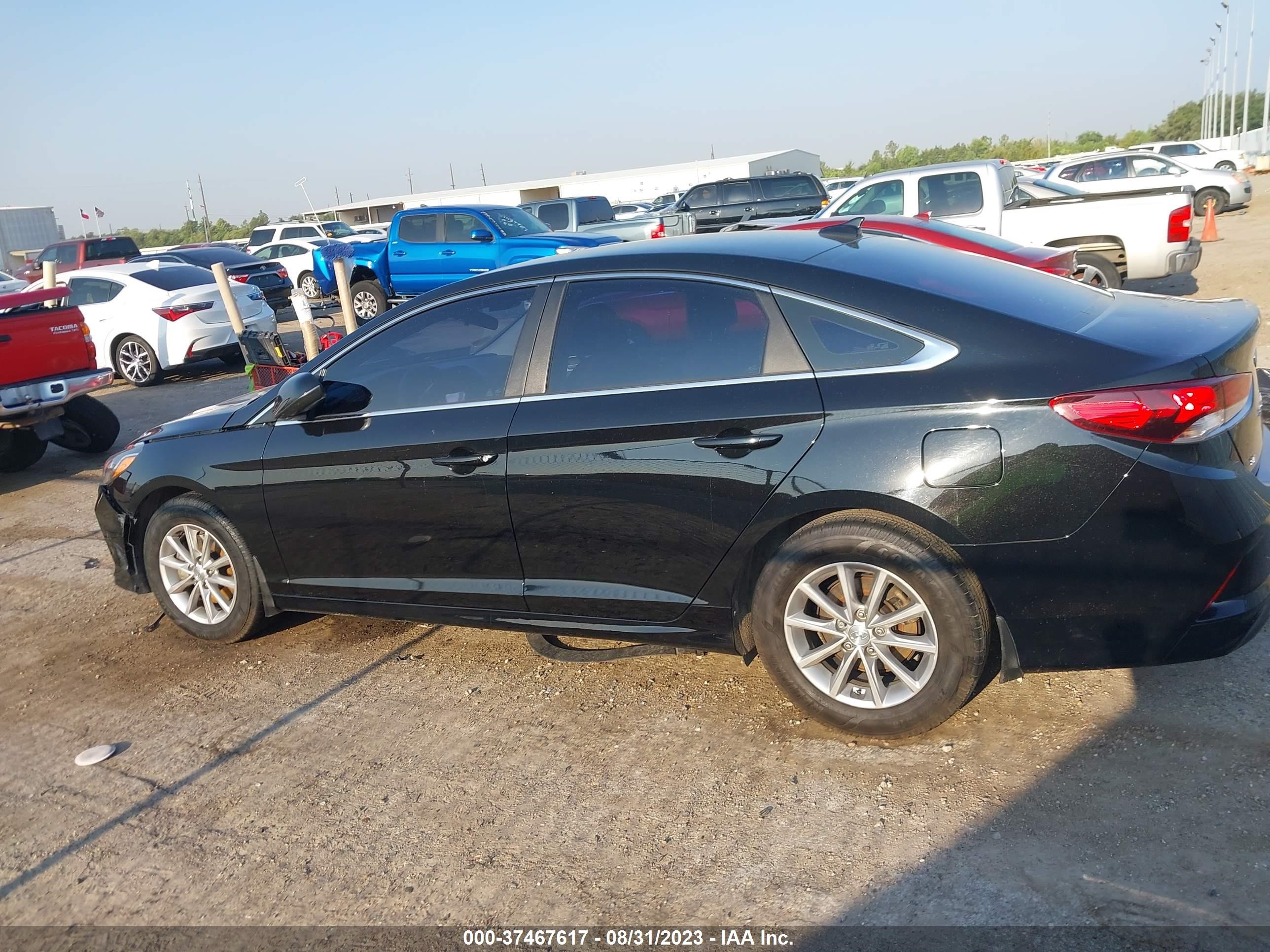 Photo 12 VIN: 5NPE24AF4KH809503 - HYUNDAI SONATA 