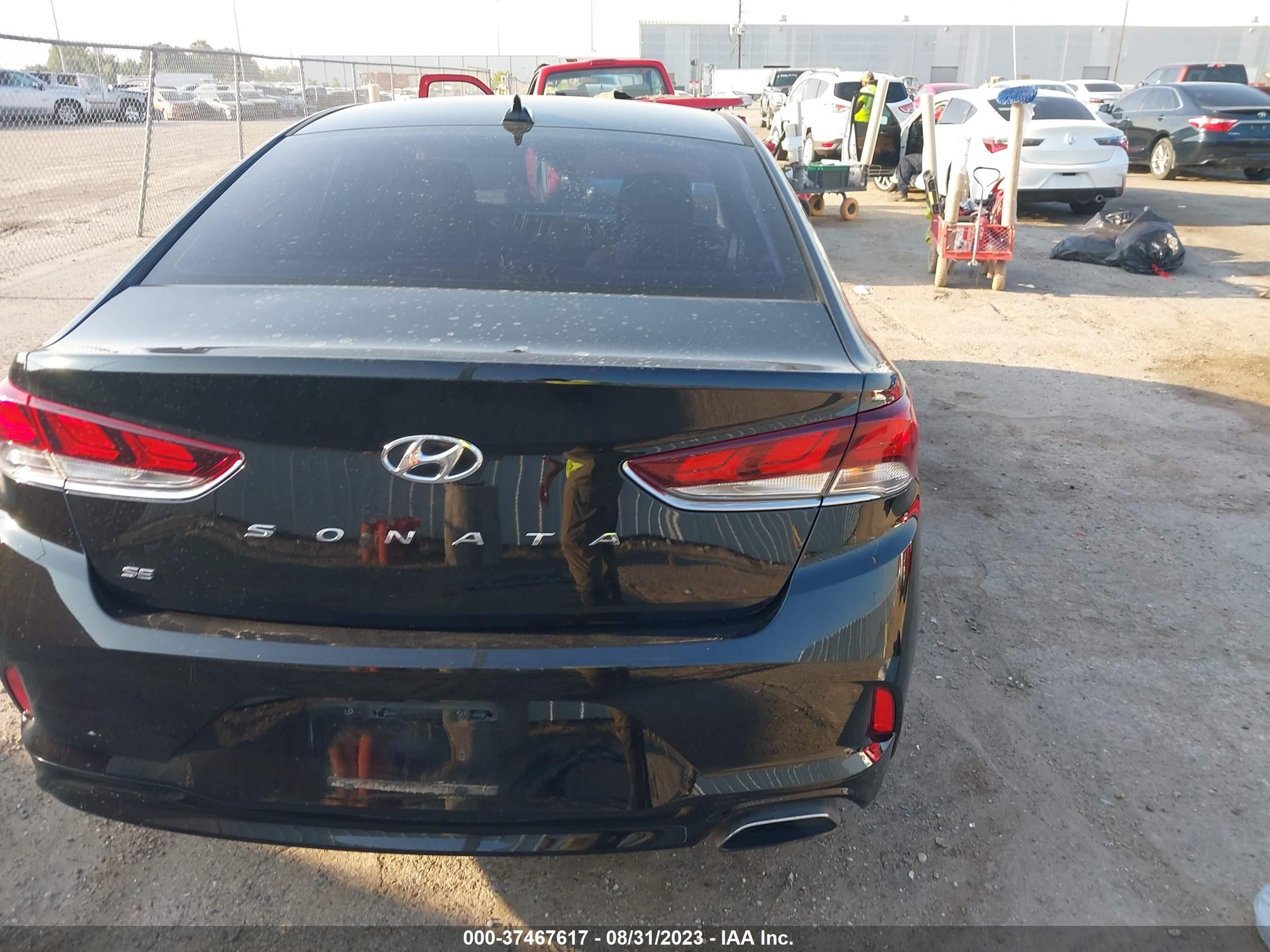 Photo 14 VIN: 5NPE24AF4KH809503 - HYUNDAI SONATA 