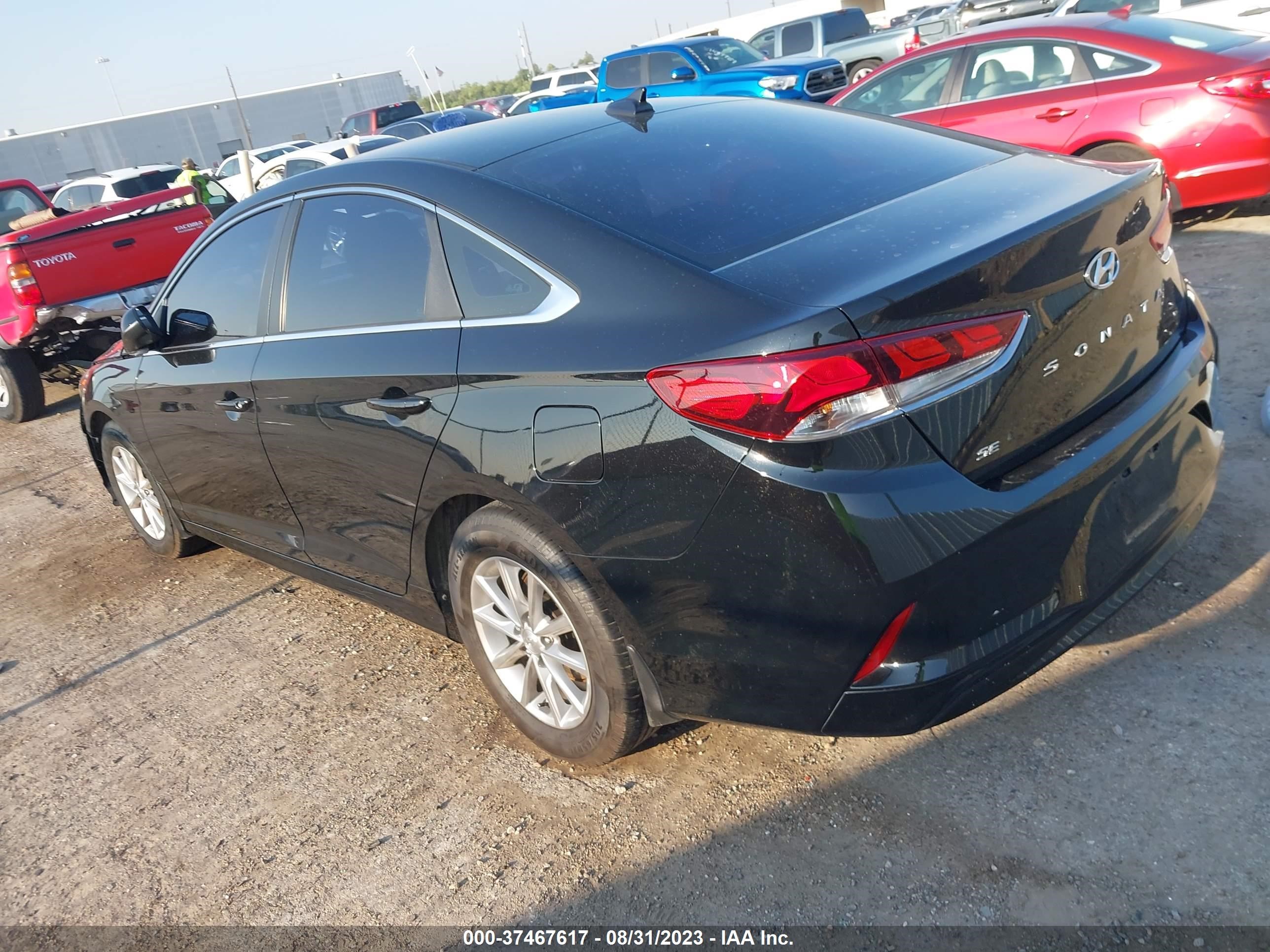 Photo 2 VIN: 5NPE24AF4KH809503 - HYUNDAI SONATA 