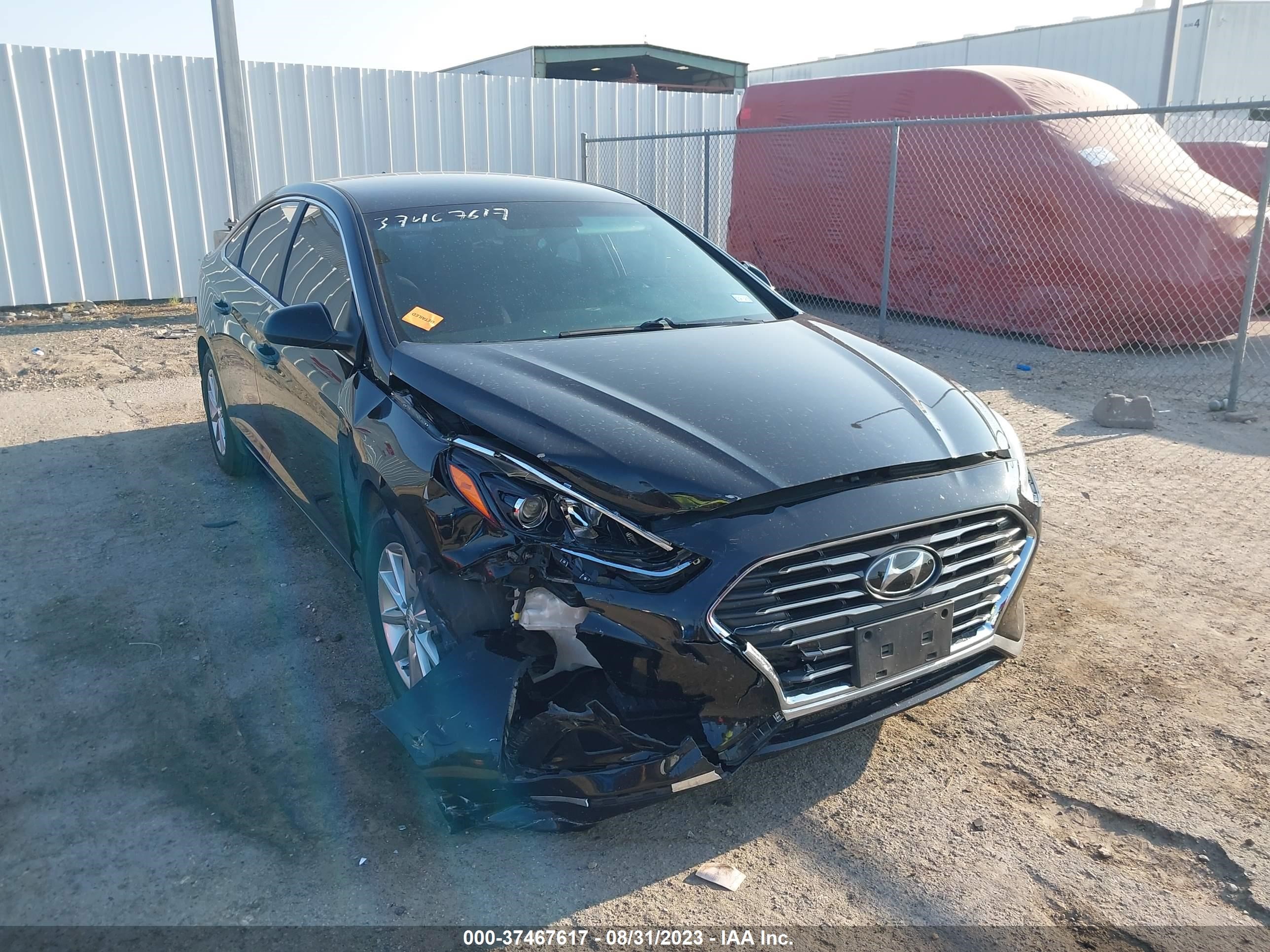 Photo 5 VIN: 5NPE24AF4KH809503 - HYUNDAI SONATA 