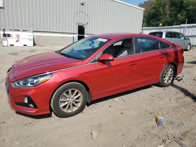 Photo 0 VIN: 5NPE24AF4KH812563 - HYUNDAI SONATA 