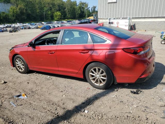 Photo 1 VIN: 5NPE24AF4KH812563 - HYUNDAI SONATA 