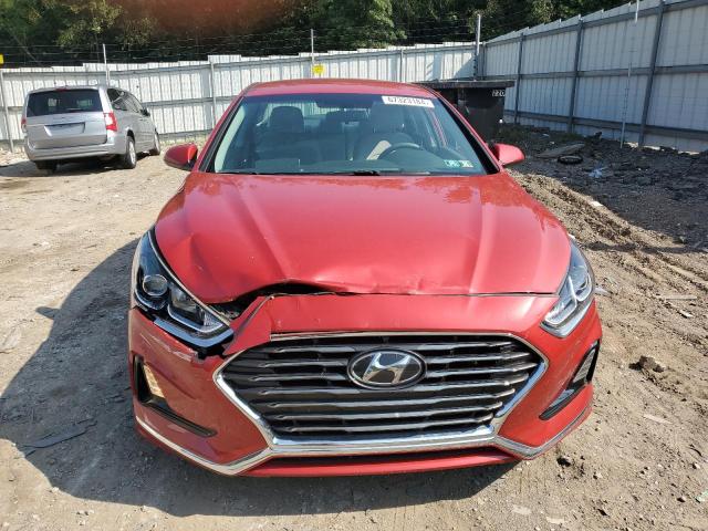 Photo 4 VIN: 5NPE24AF4KH812563 - HYUNDAI SONATA 