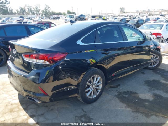 Photo 3 VIN: 5NPE24AF4KH817231 - HYUNDAI SONATA 