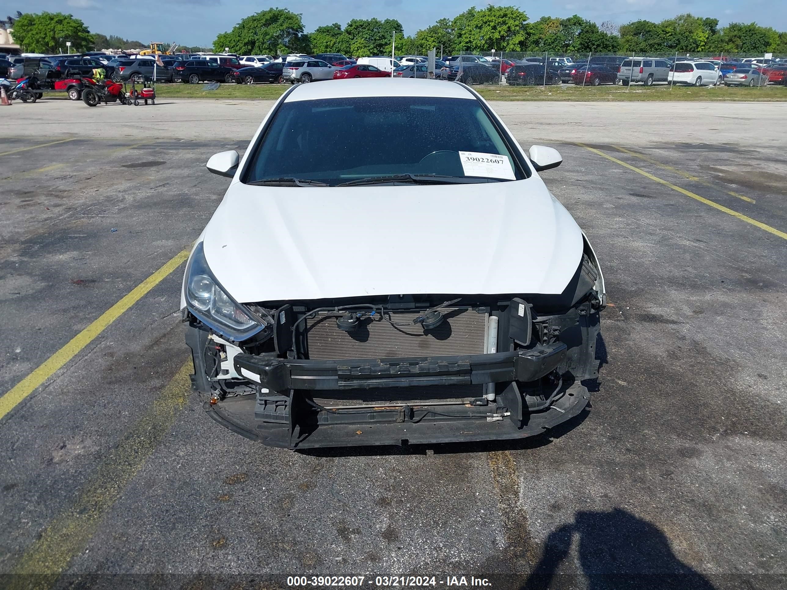 Photo 12 VIN: 5NPE24AF4KH820260 - HYUNDAI SONATA 