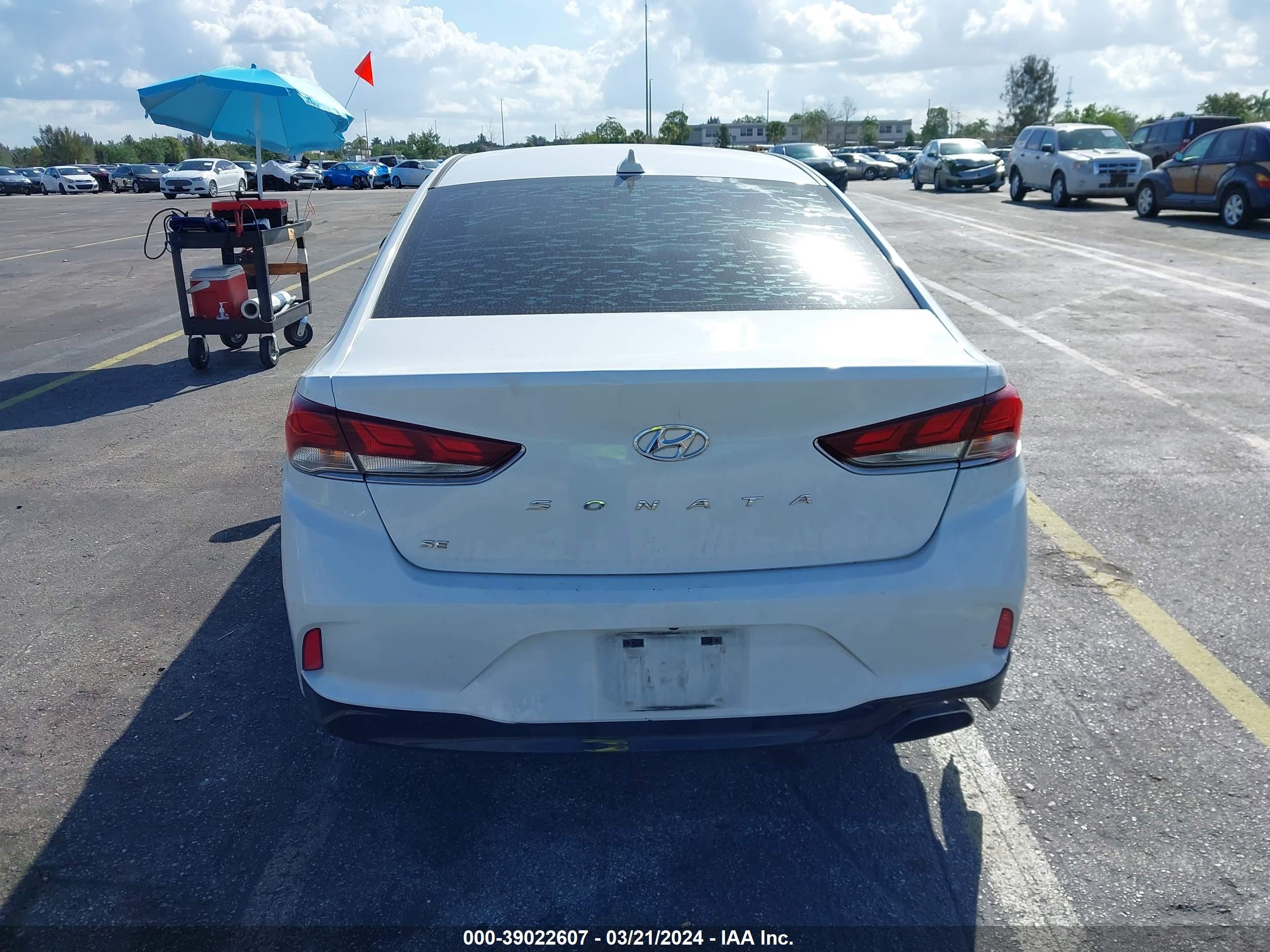 Photo 16 VIN: 5NPE24AF4KH820260 - HYUNDAI SONATA 