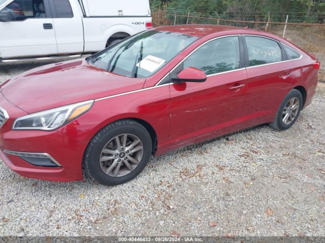 Photo 5 VIN: 5NPE24AF5FH010934 - HYUNDAI SONATA 