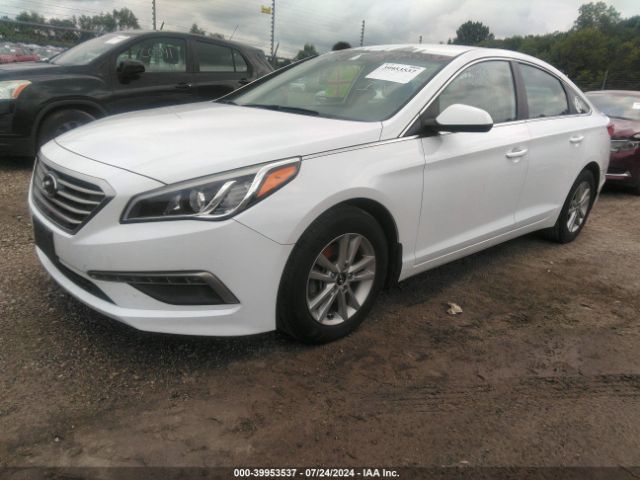 Photo 1 VIN: 5NPE24AF5FH022050 - HYUNDAI SONATA 