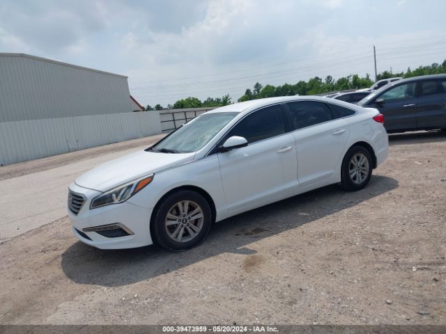 Photo 1 VIN: 5NPE24AF5FH086301 - HYUNDAI SONATA 