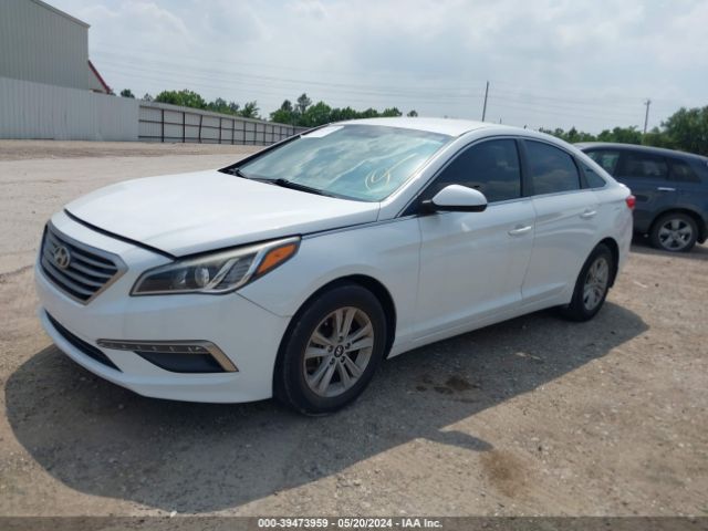 Photo 5 VIN: 5NPE24AF5FH086301 - HYUNDAI SONATA 