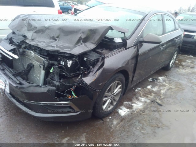 Photo 1 VIN: 5NPE24AF5FH097380 - HYUNDAI SONATA 