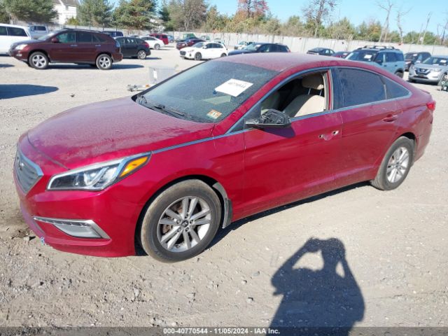 Photo 1 VIN: 5NPE24AF5FH097475 - HYUNDAI SONATA 