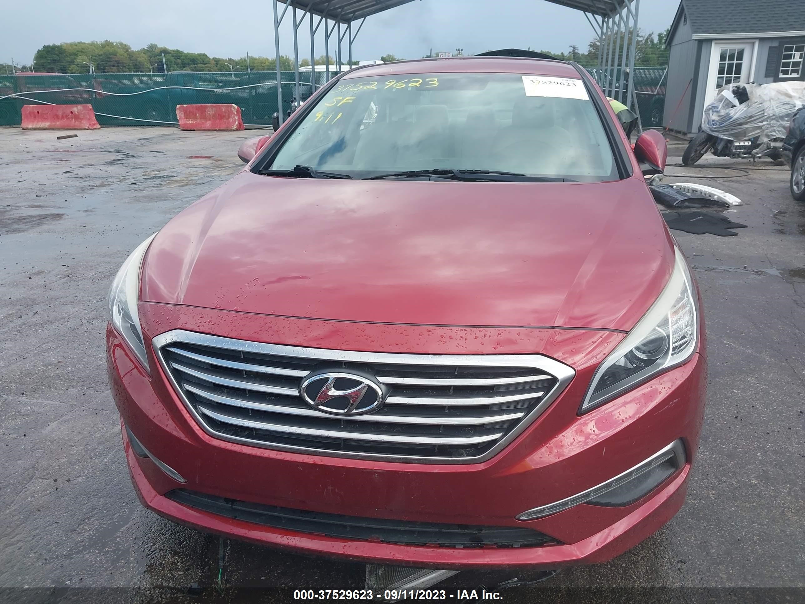 Photo 11 VIN: 5NPE24AF5FH145976 - HYUNDAI SONATA 