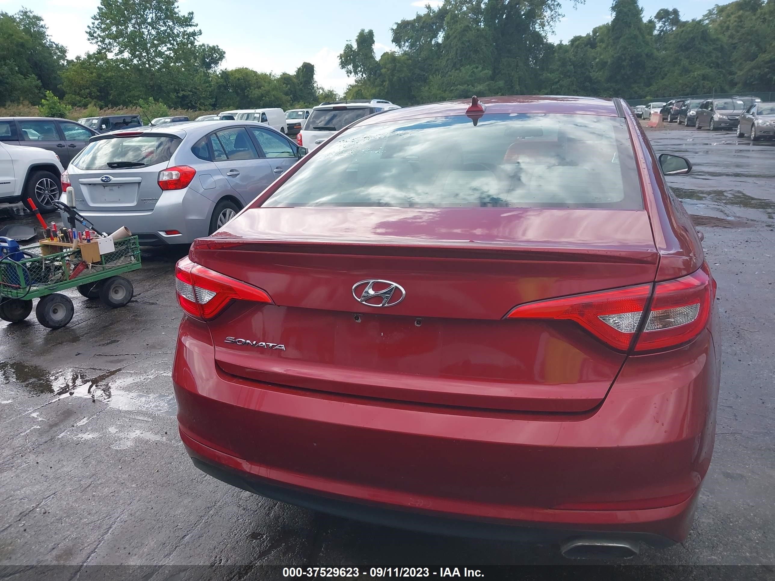 Photo 15 VIN: 5NPE24AF5FH145976 - HYUNDAI SONATA 