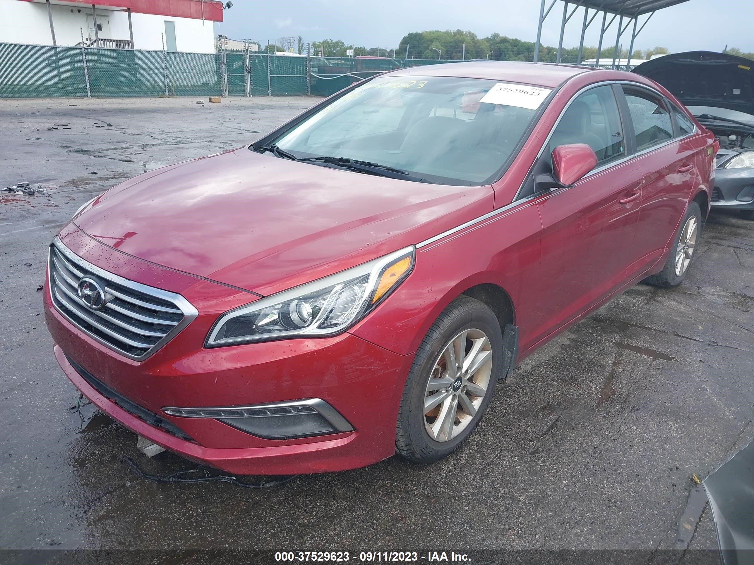 Photo 5 VIN: 5NPE24AF5FH145976 - HYUNDAI SONATA 