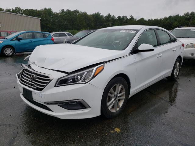 Photo 1 VIN: 5NPE24AF5FH177228 - HYUNDAI SONATA SE 