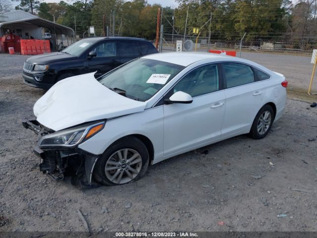 Photo 1 VIN: 5NPE24AF5FH184616 - HYUNDAI SONATA 