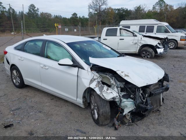 Photo 5 VIN: 5NPE24AF5FH184616 - HYUNDAI SONATA 