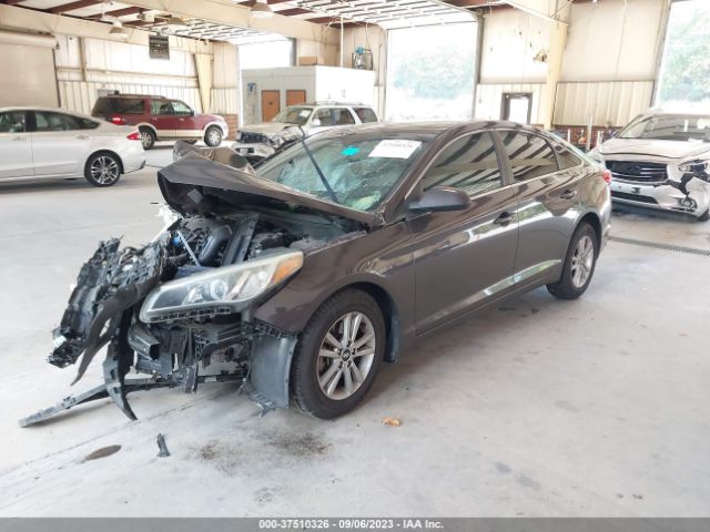 Photo 1 VIN: 5NPE24AF5FH202077 - HYUNDAI SONATA 