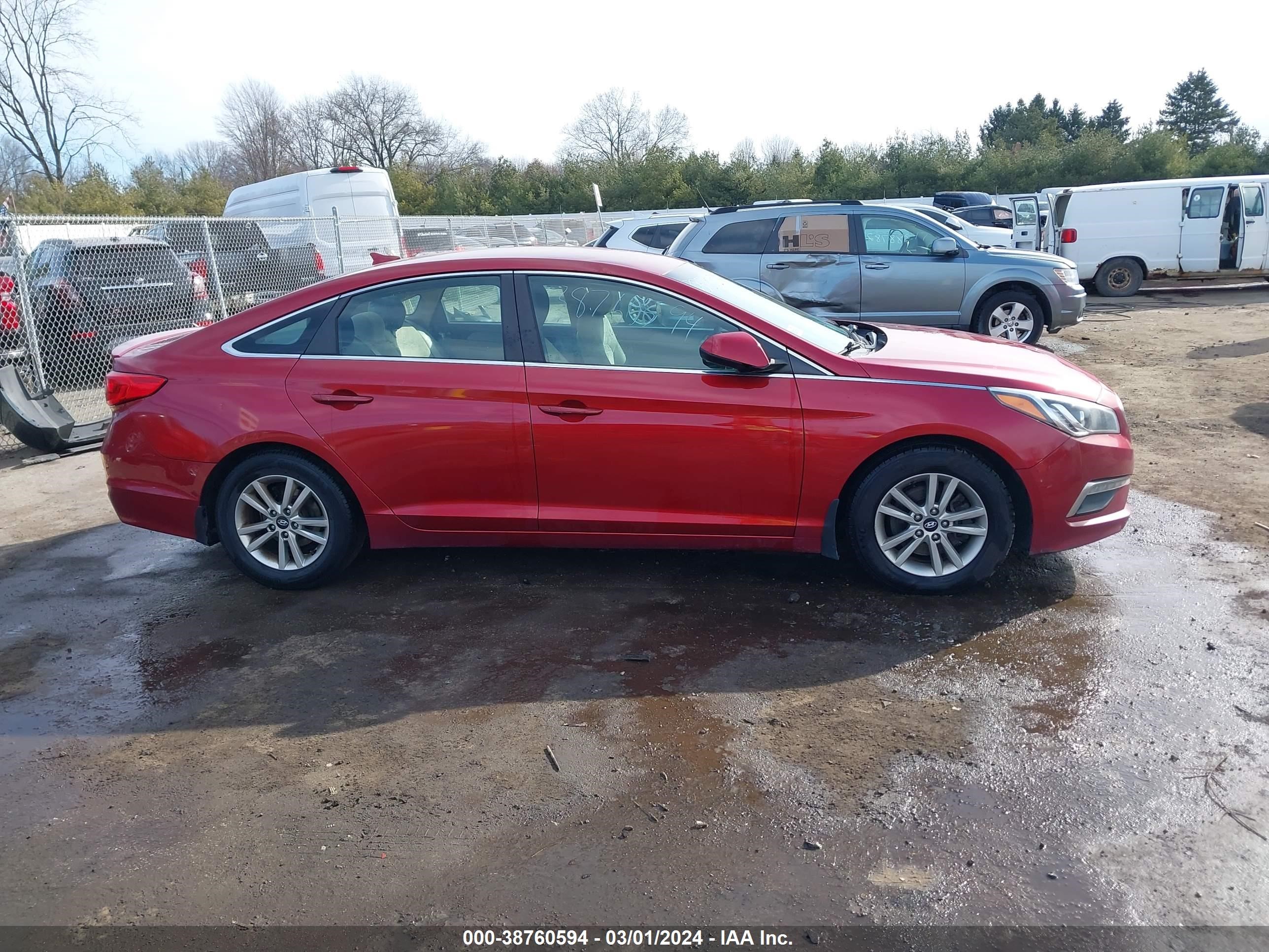 Photo 12 VIN: 5NPE24AF5FH237346 - HYUNDAI SONATA 