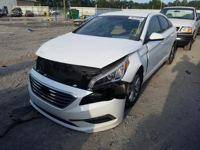 Photo 1 VIN: 5NPE24AF5FH239260 - HYUNDAI SONATA SE 