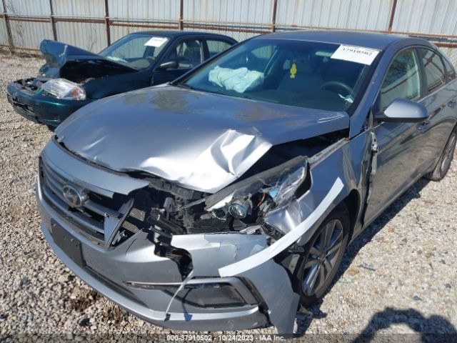 Photo 5 VIN: 5NPE24AF5FH243163 - HYUNDAI SONATA 