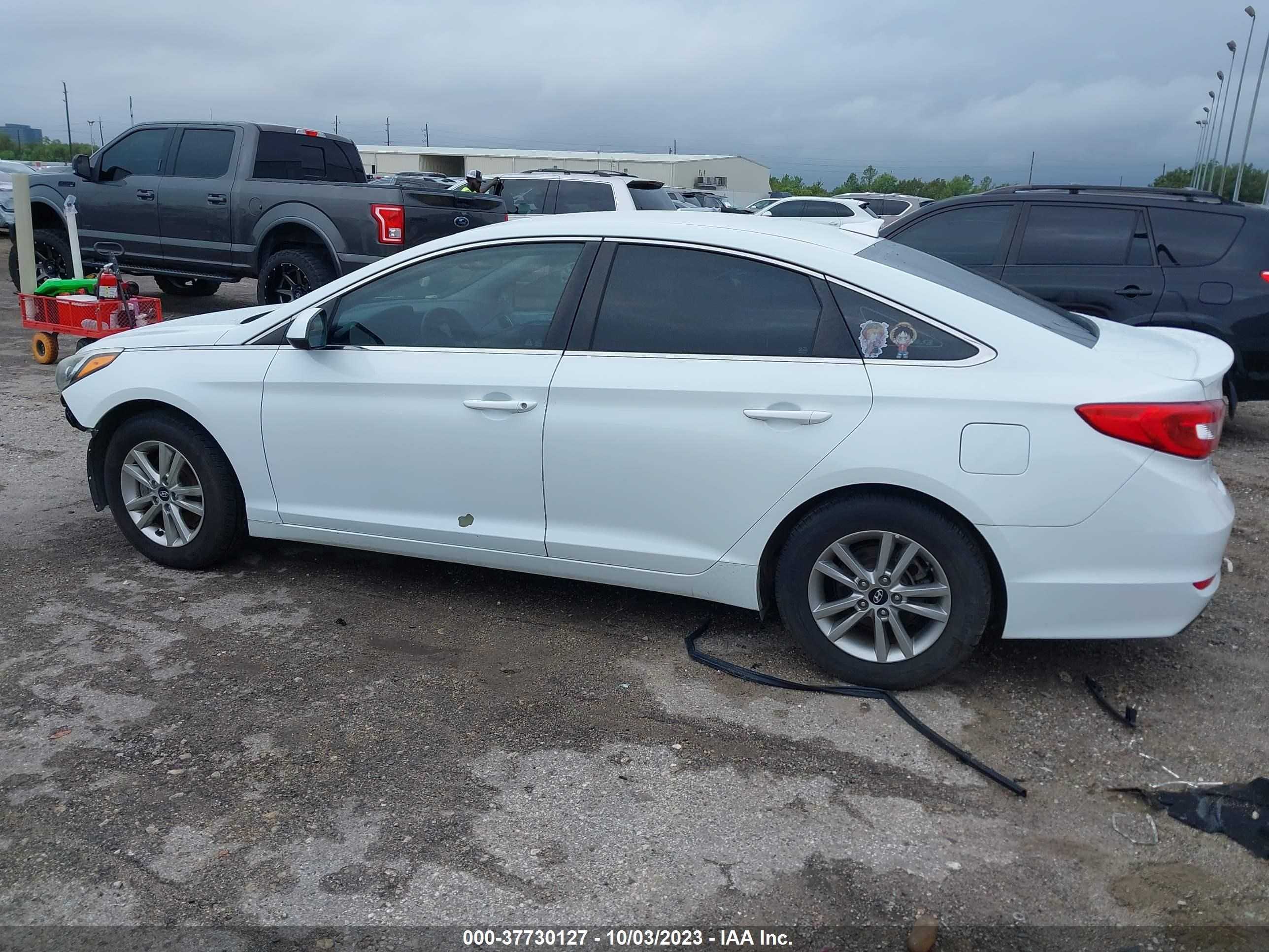 Photo 13 VIN: 5NPE24AF5GH260613 - HYUNDAI SONATA 