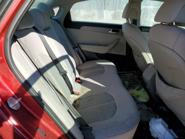 Photo 5 VIN: 5NPE24AF5GH277556 - HYUNDAI SONATA SE 