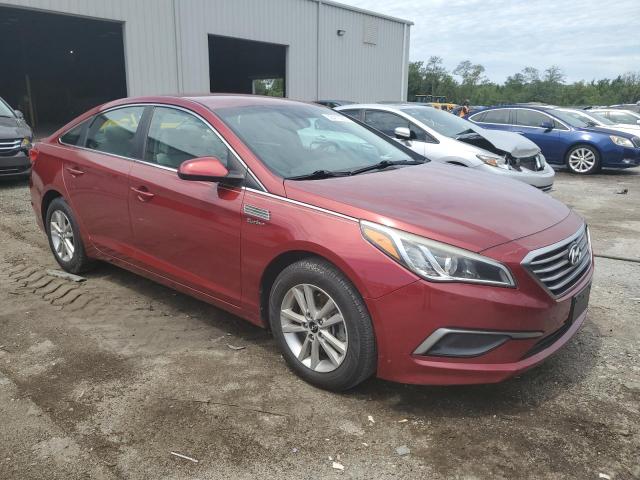 Photo 3 VIN: 5NPE24AF5GH282529 - HYUNDAI SONATA SE 