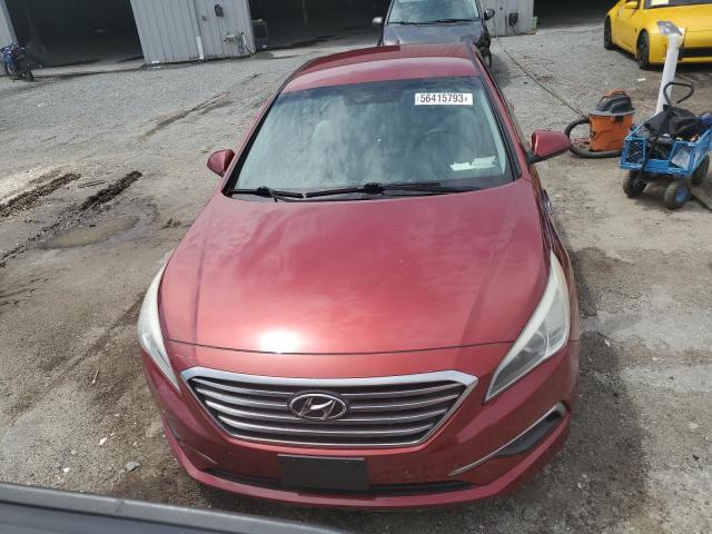 Photo 4 VIN: 5NPE24AF5GH282529 - HYUNDAI SONATA SE 