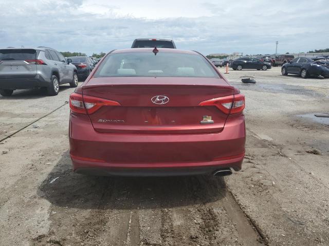 Photo 5 VIN: 5NPE24AF5GH282529 - HYUNDAI SONATA SE 