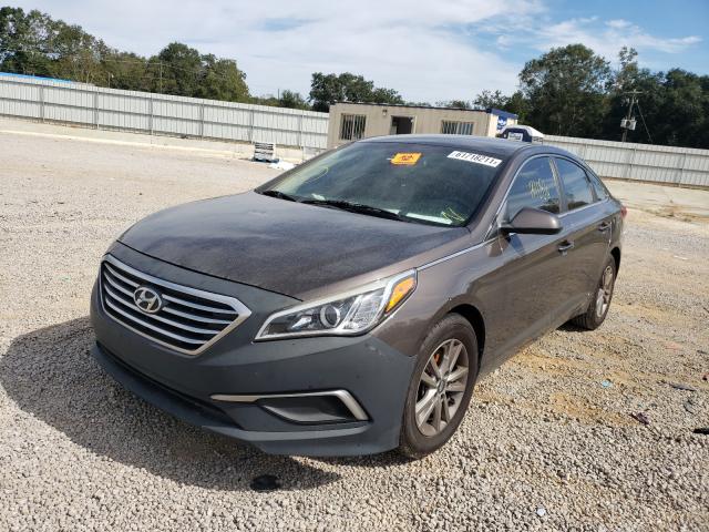 Photo 1 VIN: 5NPE24AF5GH285091 - HYUNDAI SONATA SE 