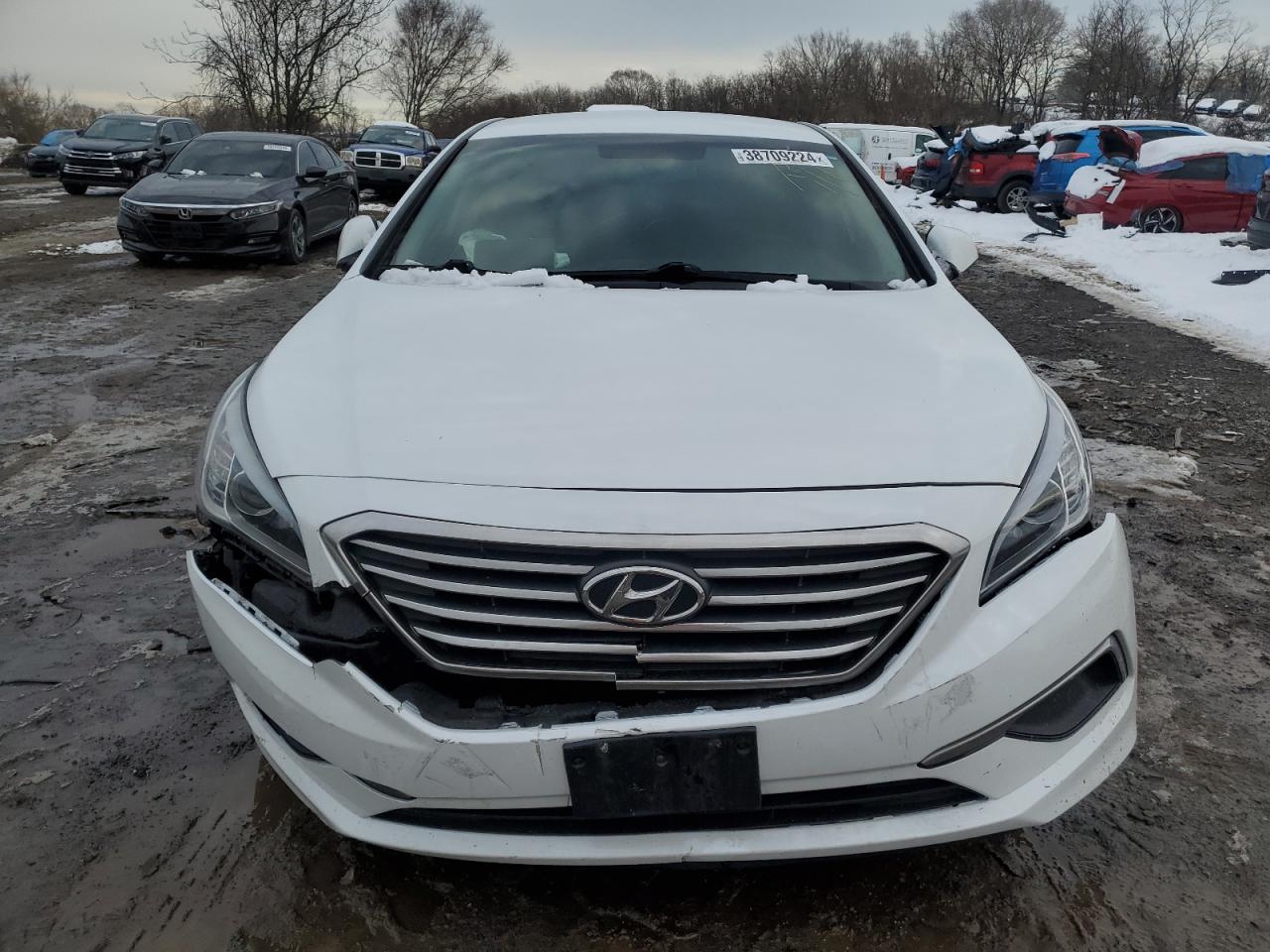 Photo 4 VIN: 5NPE24AF5GH287312 - HYUNDAI SONATA 