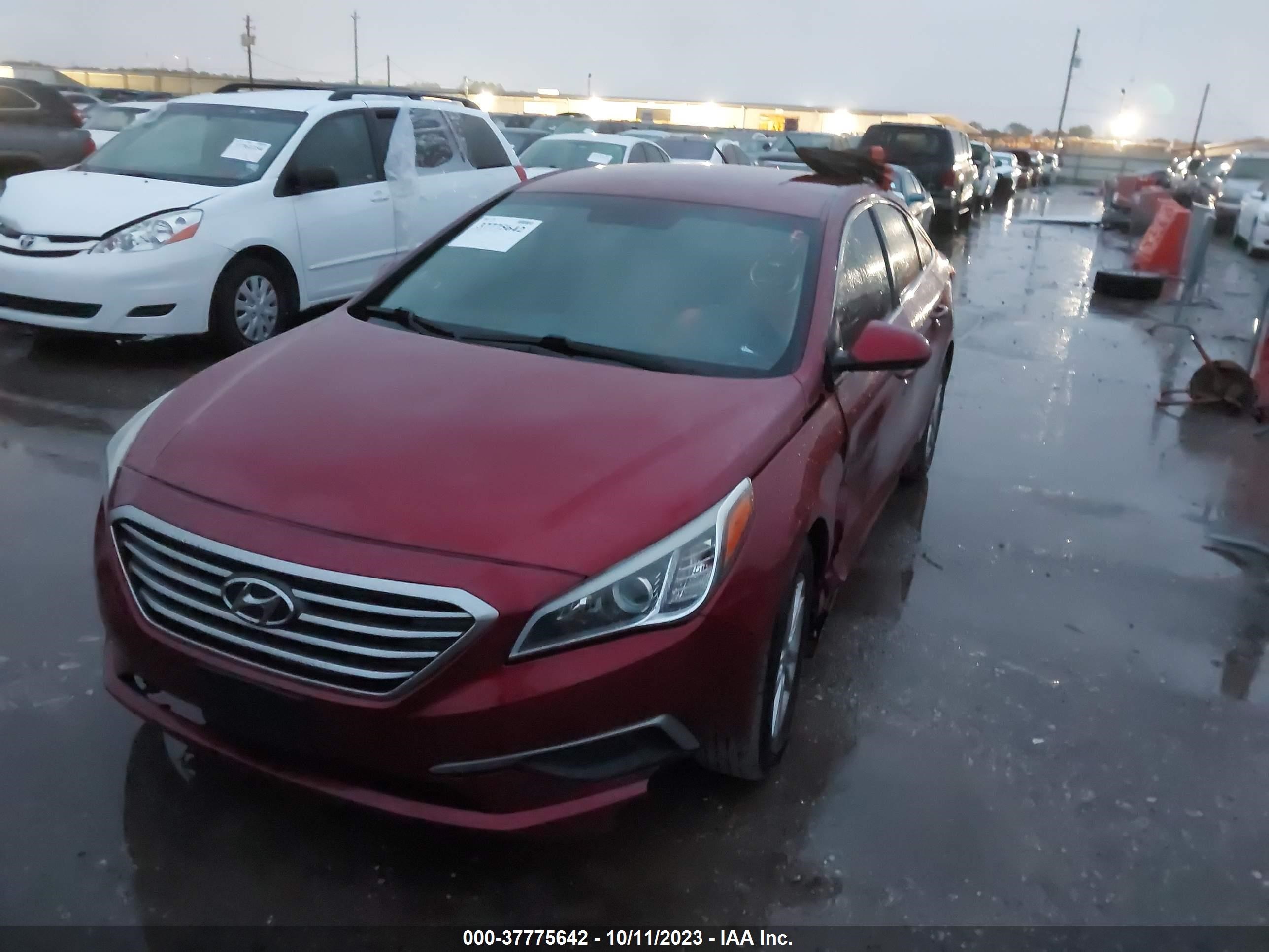 Photo 1 VIN: 5NPE24AF5GH301497 - HYUNDAI SONATA 