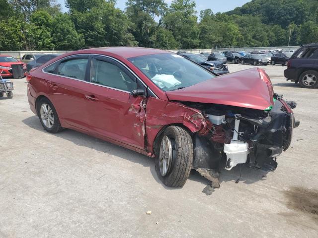 Photo 3 VIN: 5NPE24AF5GH303251 - HYUNDAI SONATA SE 