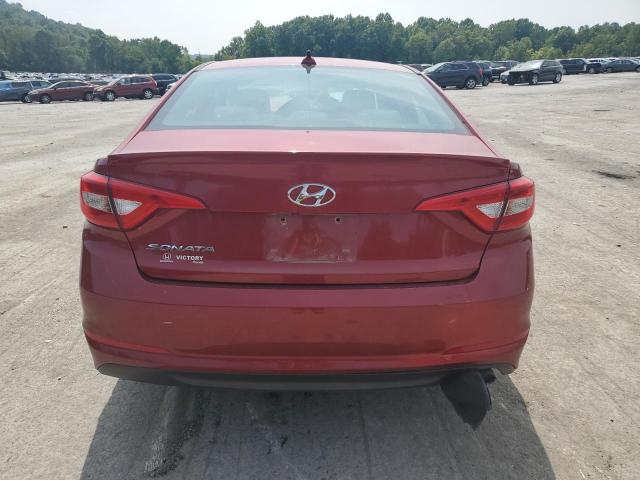 Photo 5 VIN: 5NPE24AF5GH303251 - HYUNDAI SONATA SE 