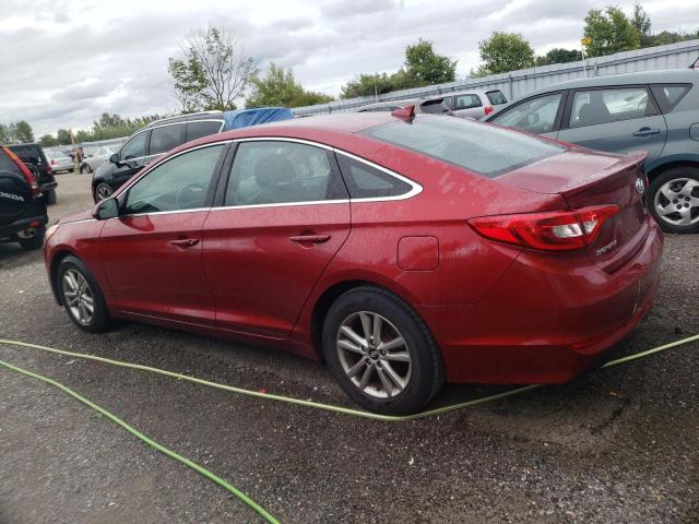 Photo 1 VIN: 5NPE24AF5GH311804 - HYUNDAI SONATA 