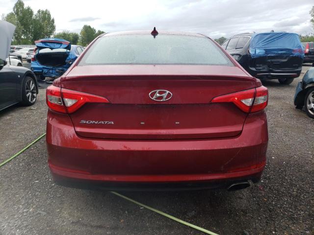 Photo 5 VIN: 5NPE24AF5GH311804 - HYUNDAI SONATA 