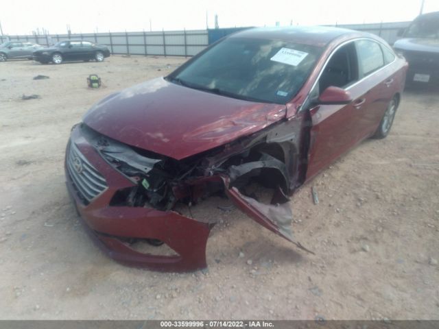 Photo 5 VIN: 5NPE24AF5GH323970 - HYUNDAI SONATA 