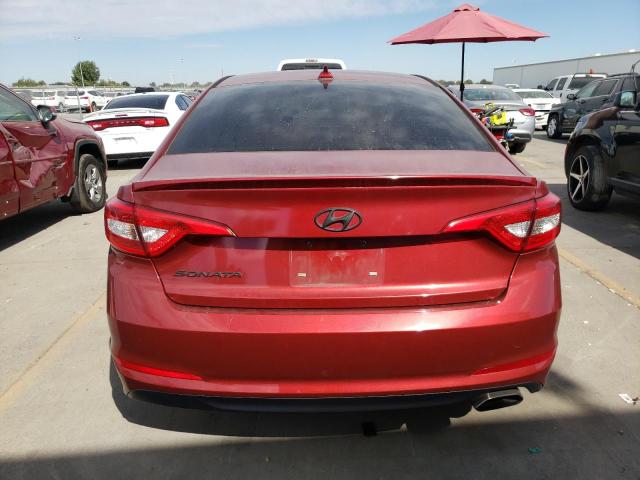 Photo 5 VIN: 5NPE24AF5GH333351 - HYUNDAI SONATA SE 