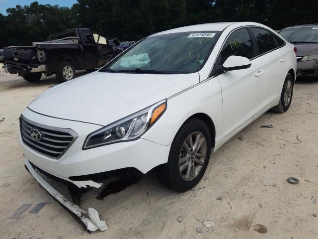 Photo 1 VIN: 5NPE24AF5GH339814 - HYUNDAI SONATA 