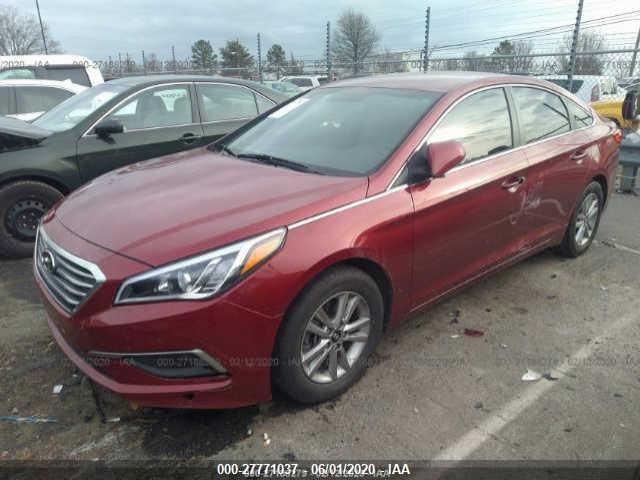 Photo 1 VIN: 5NPE24AF5GH344785 - HYUNDAI SONATA 